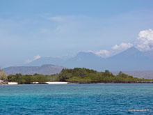 Menjangan island- Bali